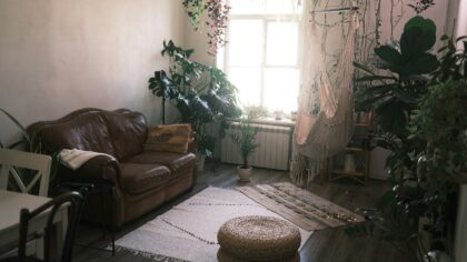 Produkcje na leniwy, deszczowy dzień w domu dla dorosłych widzów